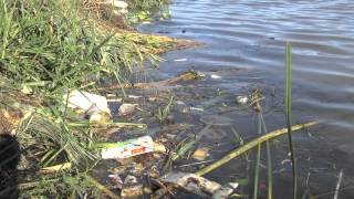 Trinity River Trash Bash 2013