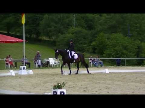 Denver von Diamond Hit - Fleurup L10 Wesiwampach