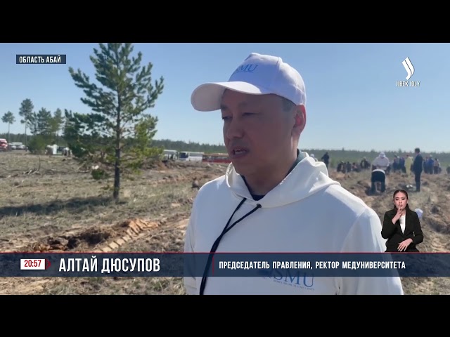 В Семее прошла посадка деревьев в рамках акций «Таза Қазақстан»