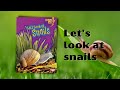 [Read aloud] Let's look at snails | BBL | Snail facts for kids | kids reading | Snail book |