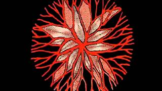 Wipers - I Want a Way