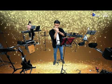 You Raise Me Up performed on harmonica