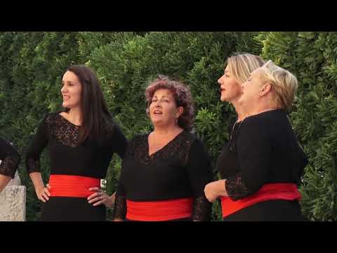 DALMACIJA MOGA OKA 20.09.2021.