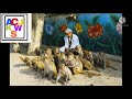 Aniruddhacharya Ji WhatsApp Status Part 88