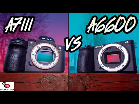 Sony A6600 VS Sony A7III | Can YOU Get More for Less?!
