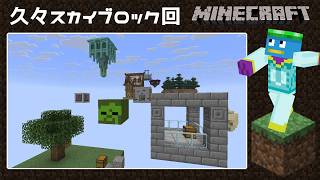 🌞【マイクラ】鬼畜スカイブロック覇者が行くビギナー向けスカイブロック【その４】