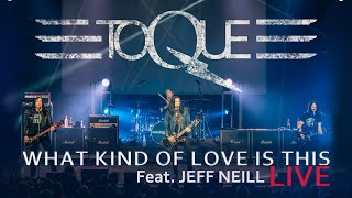 TOQUE - WHAT KIND OF LOVE IS THIS - Live - feat. JEFF NEILL OF STREETHEART
