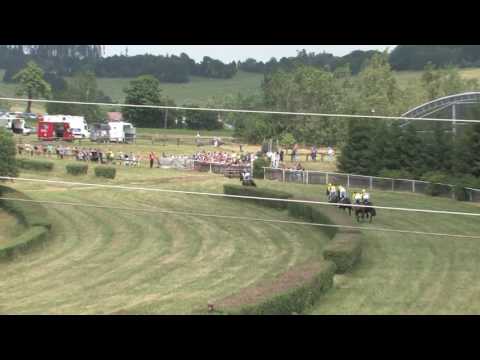 2017 Světlá Hora - 2.dostih - Cena TIPPLER group s.r.o.