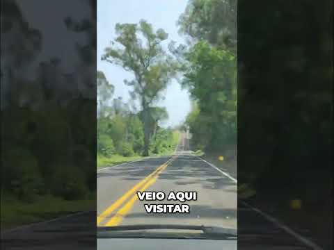 Jabuti, PR  O Retorno à Capital do Morango e do Silêncio!