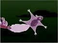Captain Flamingo Intro In RjGunner111 Major