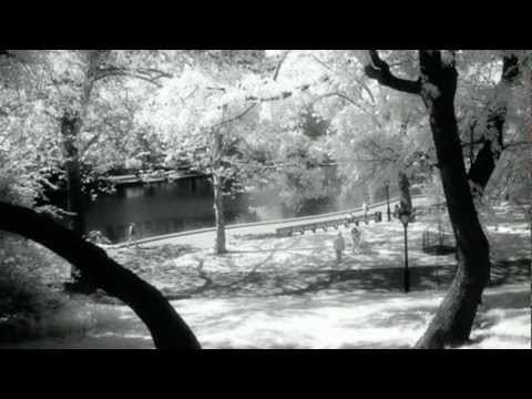 Virgin Souls - Snakes And Ladders