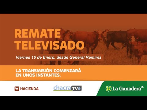Remate Televisado de Hacienda Coop. LA GANADERA -  Gral. Ramírez.  Viernes 16 de Enero de 2026.
