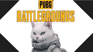 【PUBG】初心者がいくバトロワの原点にして頂点。