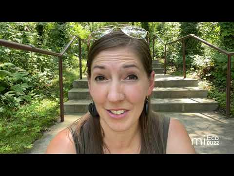 Making Nature Accessible