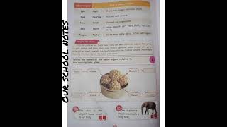 2nd Std EVS |Term 1| Unit 2 My Amazing Body |Page no.:(90,93,94)Answers