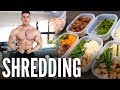 FULL DAY OF EATING with 22 Year Old Bodybuilder Brandon Harding 12 Weeks Out