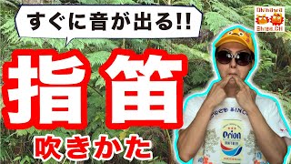 小学生でも簡単に指笛が吹けるようになる3つのコツ教えます。