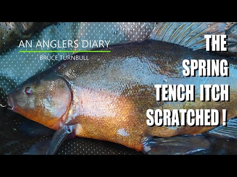 An Anglers Diary with A Moment in Time Channel - Chapter 113 - Tench Fishing