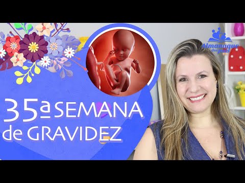 35ª SEMANA DE GESTAÇÃO | Medo do Parto, Dicas Amamentação, Urina ou LA? | 3º TRIMESTRE DE GRAVIDEZ