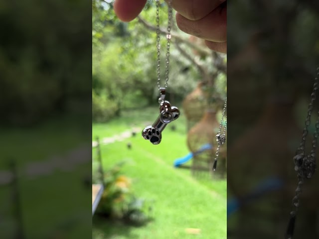 Vídeo relacionado con MICMIF Collar Plata Perro Colgante Perrito para Mujer Niña, Collares de Animales Plata de Ley 925 de Joyas Regalos Originales para Esposa, Mamá, Hija, Novia