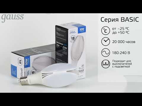 Видео Лампа Gauss Basic BT100 AC180-240V 30W 2950lm 6500K E40 LED 1/20 Артикул: 11834332