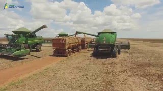 Produção na Região de Sapezal-MT (colheita de Soja)