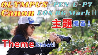 主題を撮る ! マーサーボタニックガーデン　 OLYMPUS PEN E-P7/Canon EOS R6Ⅱ  KK Feel-good
