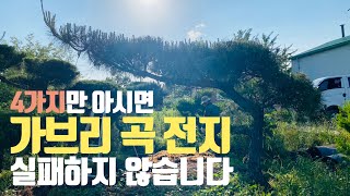 전원주택 소나무 가브리 곡전지. 4가지만 알고 하시면 실패하지 않습니다.