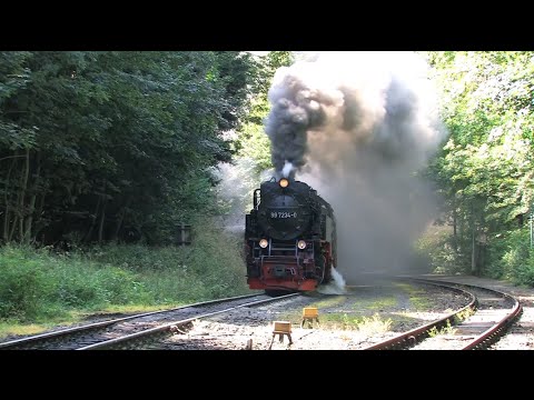Dampfloks bei der HSB - Steam Trains - Züge