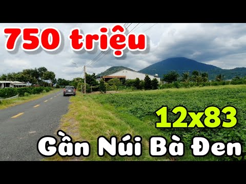 Bán đất 12x83 mặt đường nhựa gần Núi Bà Đen phường Bình Minh Tây Ninh giá 750 triệu xây nhà vườn đẹp