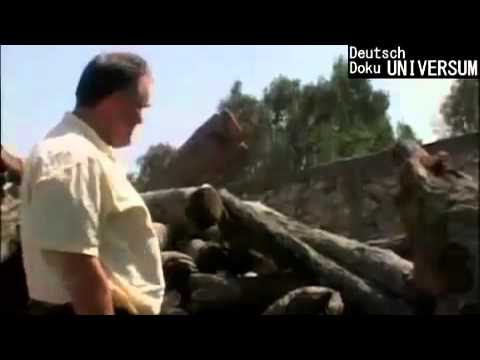 Die Wunderwaffen der Antike - Archimedes Teil 1