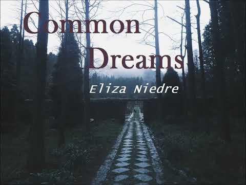 Eliza Niedre -  Common Dreams (audio)