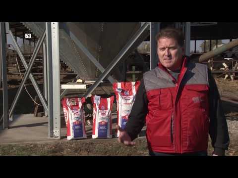 GEBI ZAMRZAO CENE STOCNE HRANE NA 6 meseci -  niko pre to nije uradio !