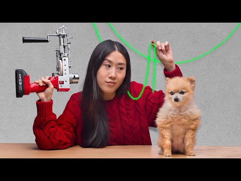 I Turned my Dog into a Rug