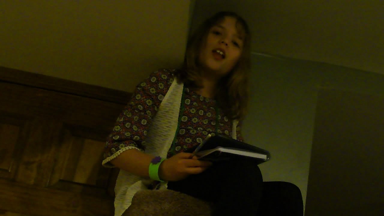 The Friendship Kittens: Secret Kitten's Lair