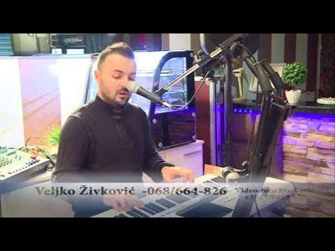 Veljko Zivkovic - Stranac (Live)