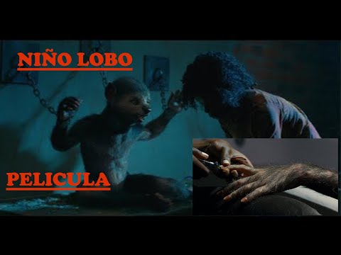 #peliculas#trailers#series#estrenosPELICULA NIÑO LOBO LOS BUENOS MODALES TRAILERS