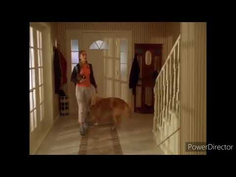 Air Bud Seventh Inning Fetch Anybody Home