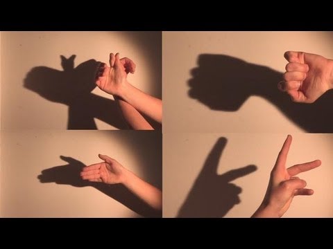 How To Make Shadow Puppets With Your Hand