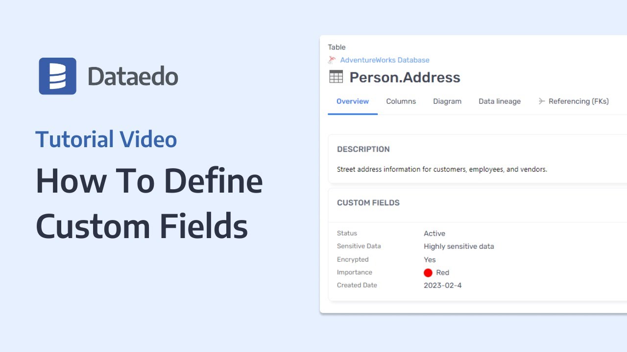 Dataedo Tutorial: How To Define Custom Fields