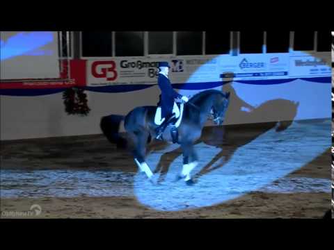 Rock Forever NRW Hengstschau 2015