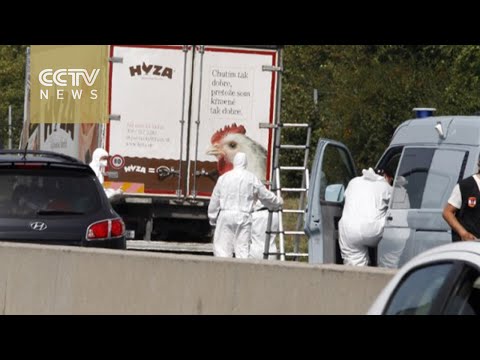 Up to 50 dead migrants found in truck on Austria highway