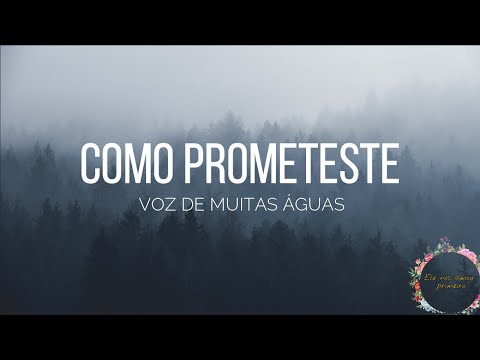 COMO PROMETESTE | VOZ DE MUITAS ÁGUAS | LETRA