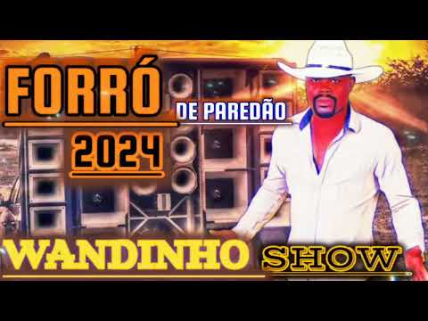 [WANDINHO SHOW]∆CD FORRÓ DE PAREDÃO 2024#2024 #forrozão #forródequalidade