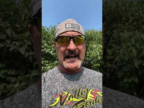 600 Fuß durchgehende Farbe vom Valley Borders Team.