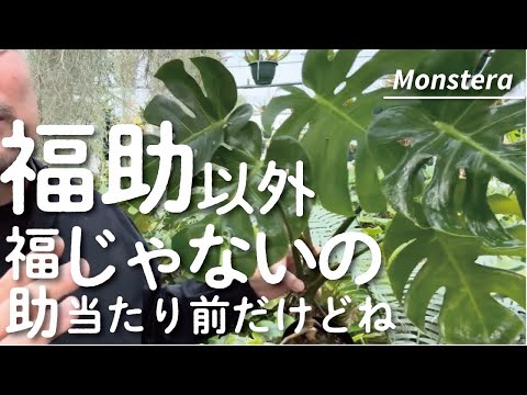 環境にとって危険