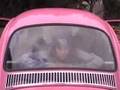 Bazooka Bubble Gum Song 
