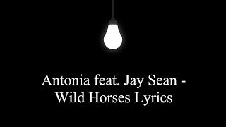 Antonia feat. Jay Sean - Wild Horses ( LYRICS )