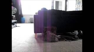 Sunday Morning Widje