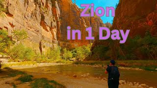 Zion National Park in One Day | Easy Trails & Shuttle Guide